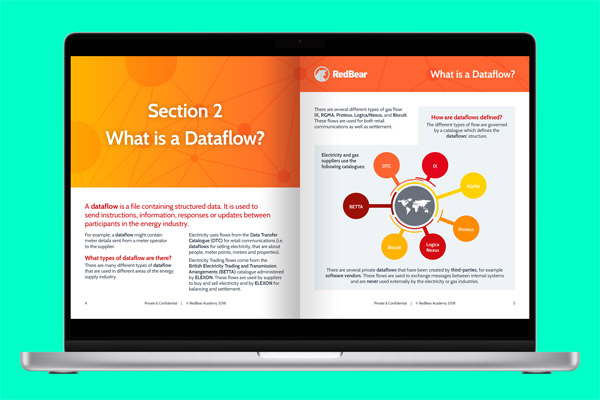 RedBear - Dataflows Overview 2