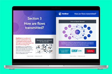 RedBear - Dataflows Overview 3