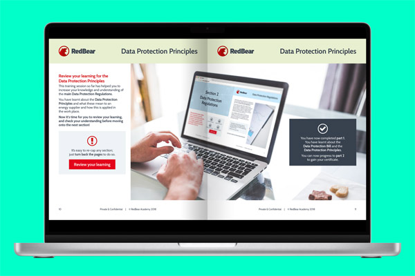 RedBear - Data Protection 3