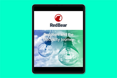 RedBear - Suppliers and the Electricity Journey 1