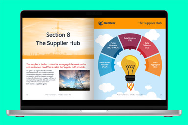 RedBear - Suppliers and the Electricity Journey 3