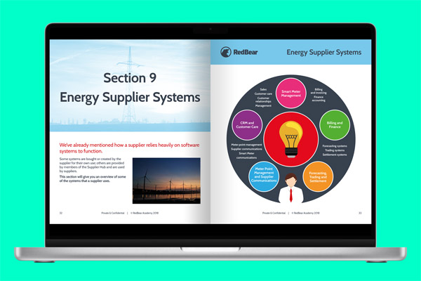 RedBear - Suppliers and the Electricity Journey 4