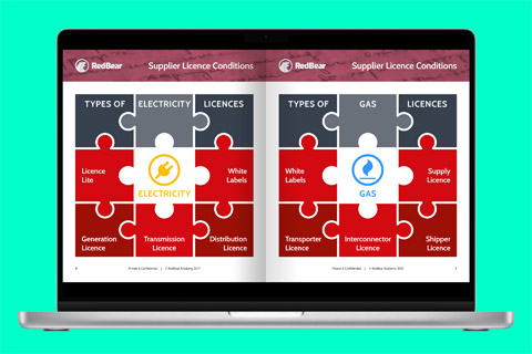 RedBear - Supplier Licence Conditions 2