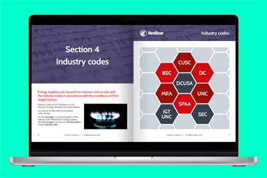 RedBear - Supplier Licence Conditions 5